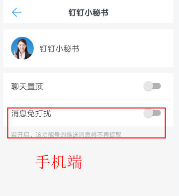 钉钉小秘书照片图片